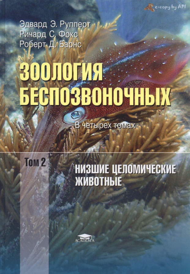Зоология беспозвоночных в четырех томах. Том 2