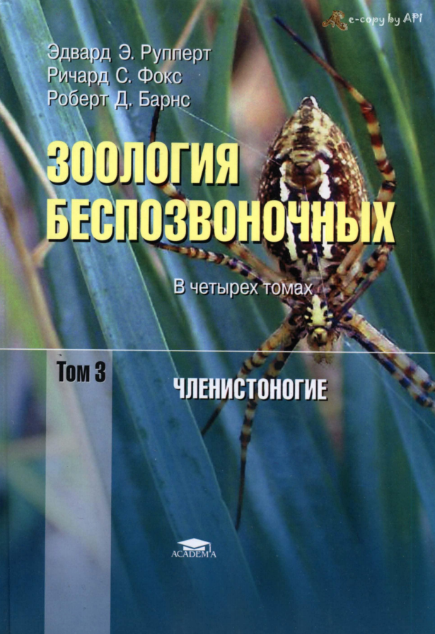 Зоология беспозвоночных в четырех томах. Том 3