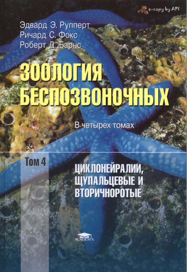 Зоология беспозвоночных в четырех томах. Том 4