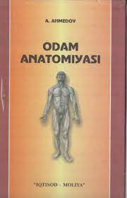Odam anatomiyasi