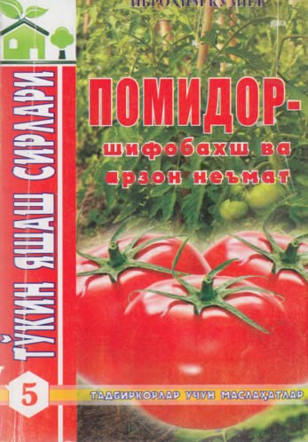 Помидор шифобахш ва арзон неъмат