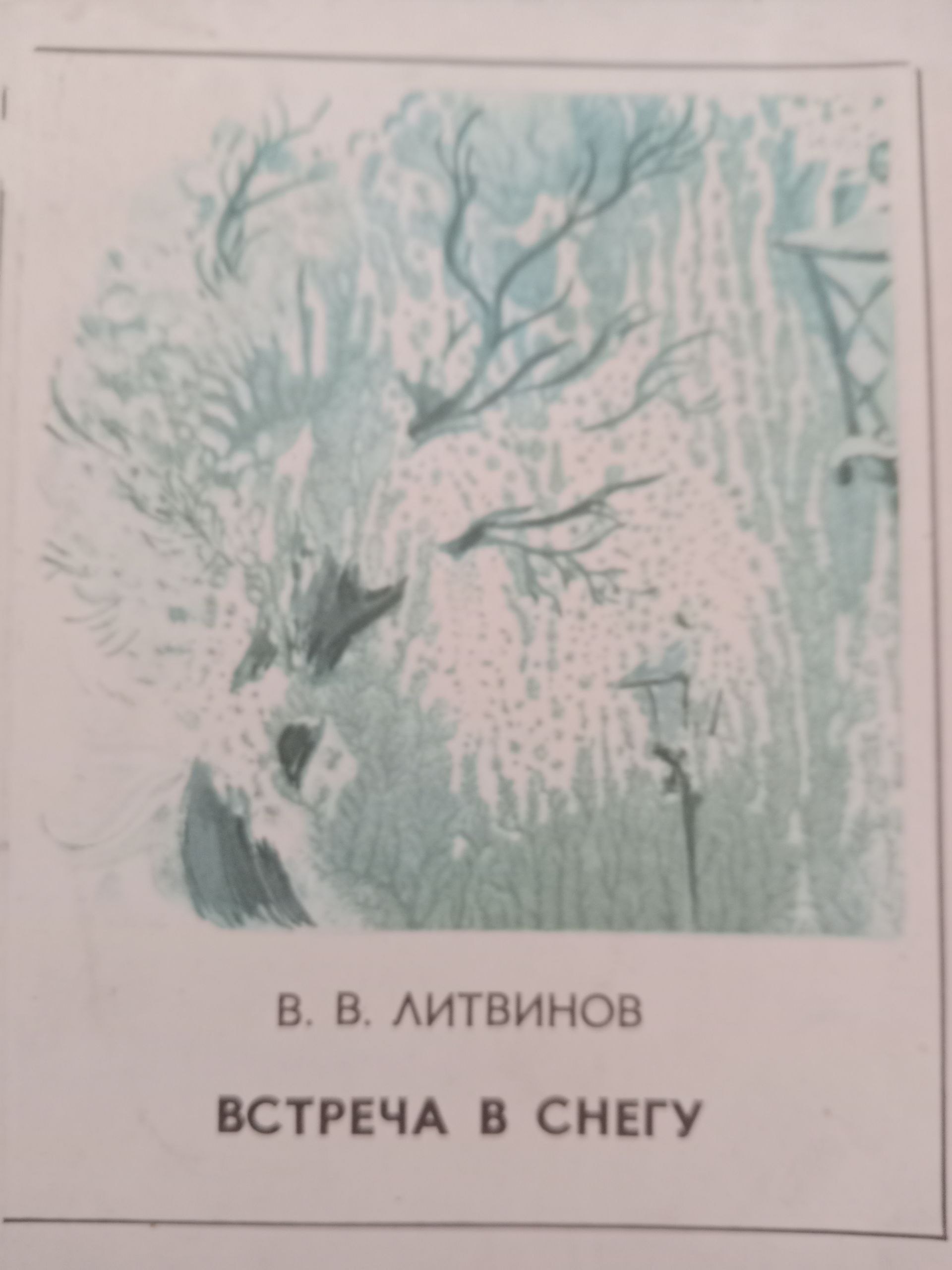 Встреча  В  Снегу