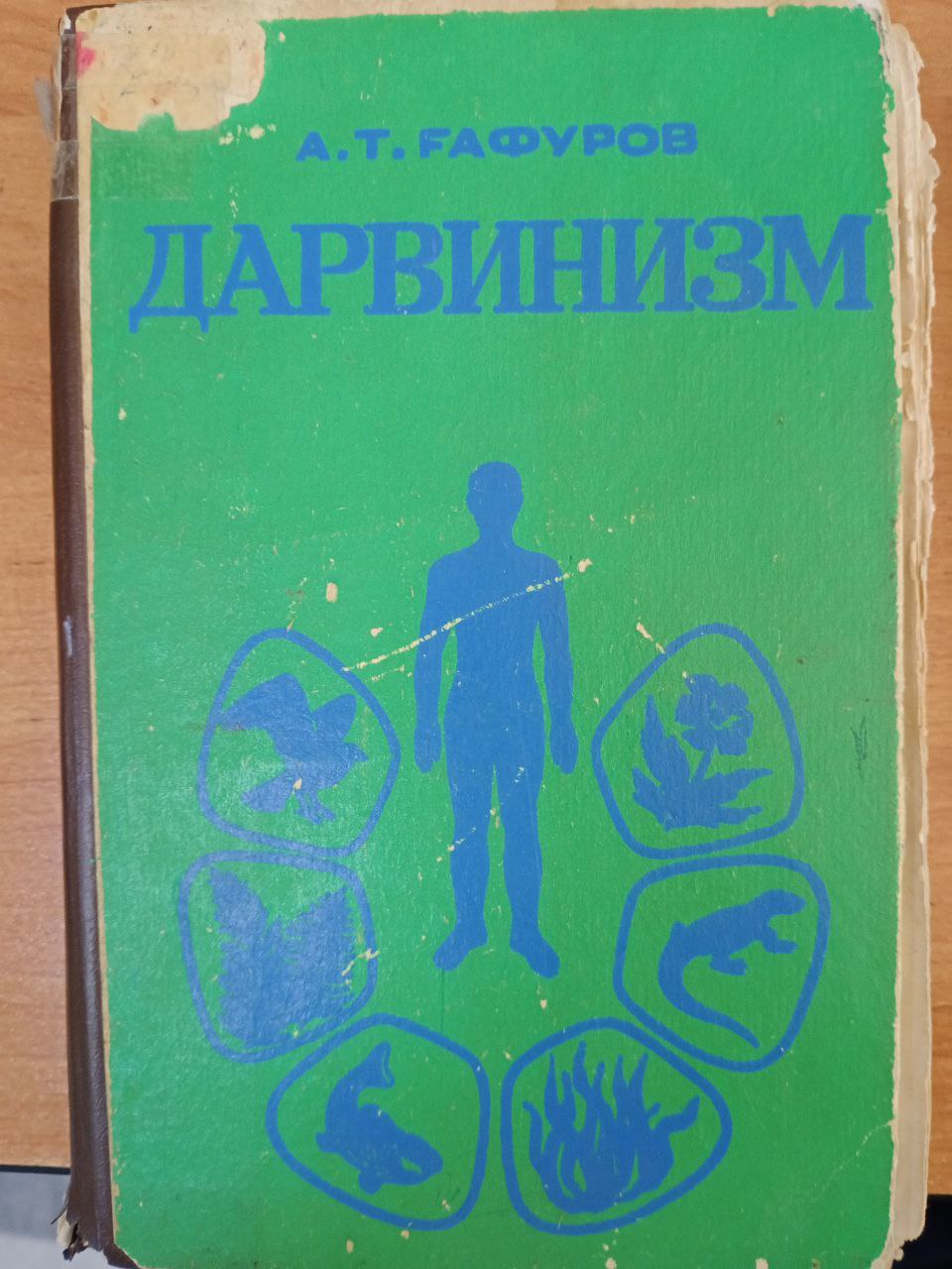 Дарвинизм