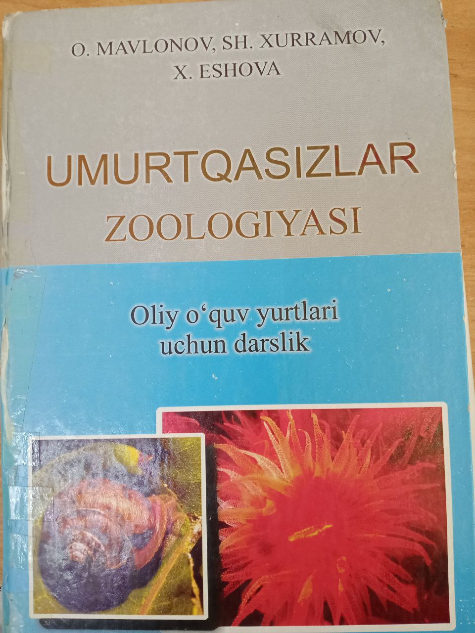 UMURTQASIZLAR ZOOLOGIYASI