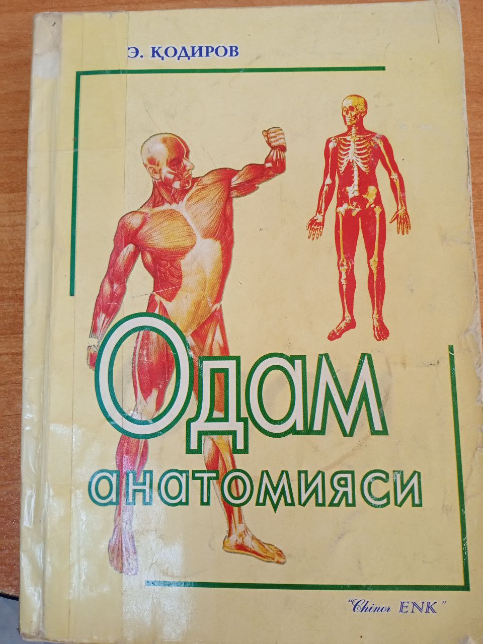 Одам анатомияси
