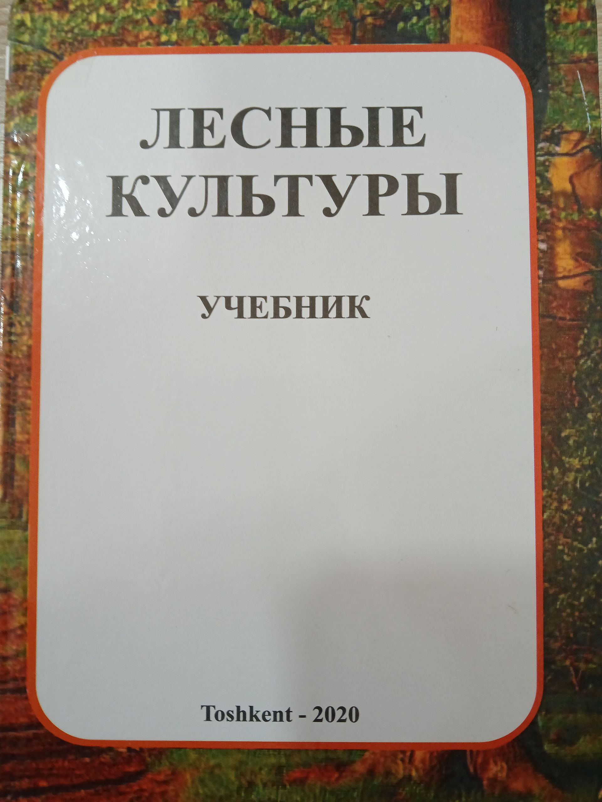 Лесные  культуры