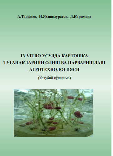 In vitro усулда картошка туганакларини олиш ва парваришлаш агротехнологияси