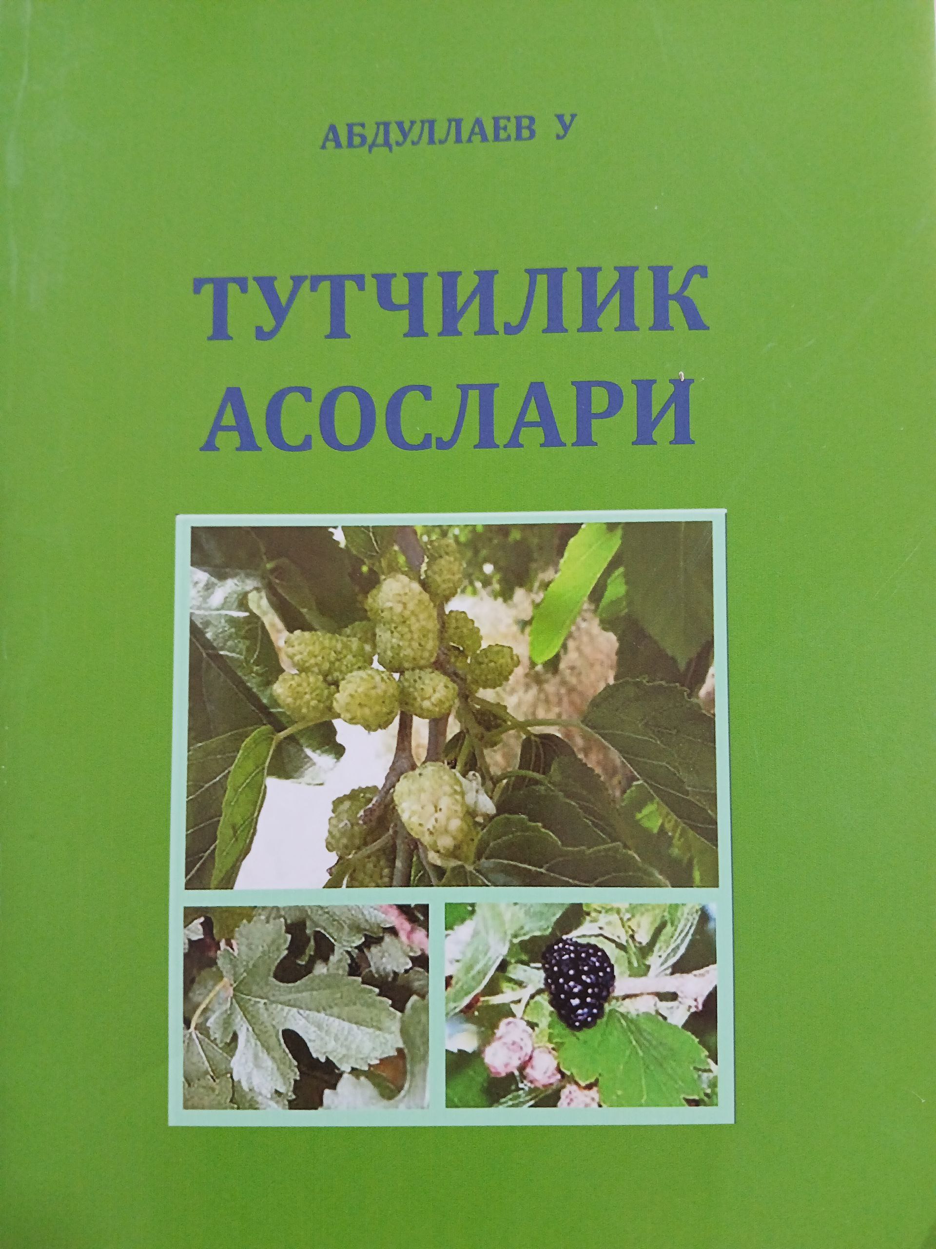 Тутчилик асослари