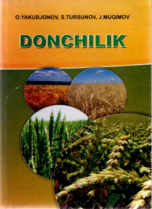 DONCHILIK