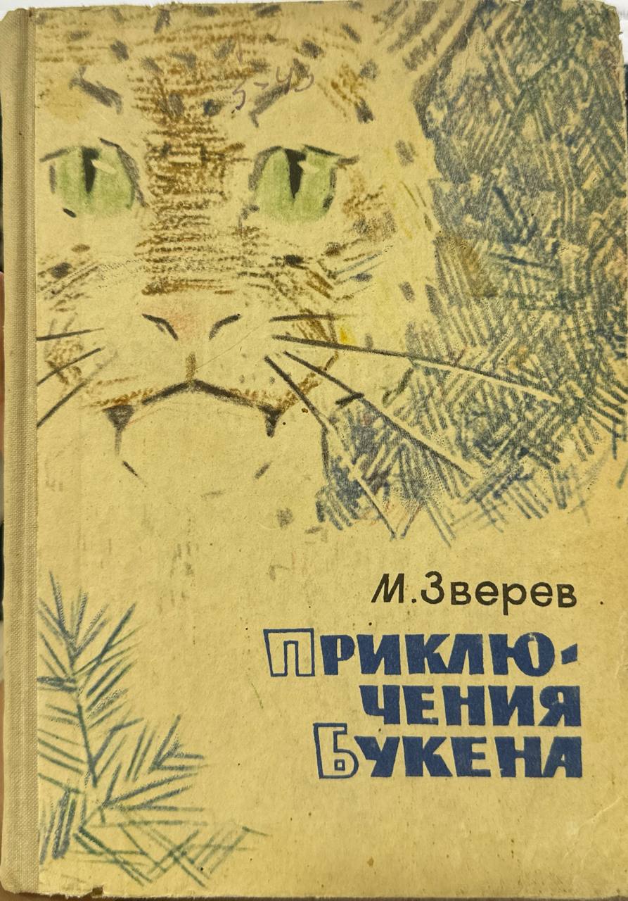 Приключения букена