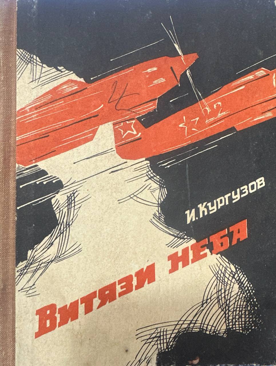 Витязи неба