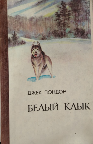 Белый клык