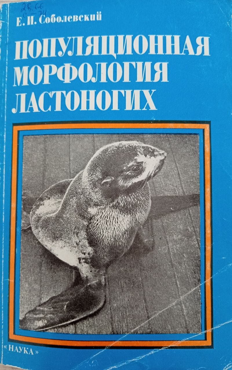 Популяционная морфология лостоногих