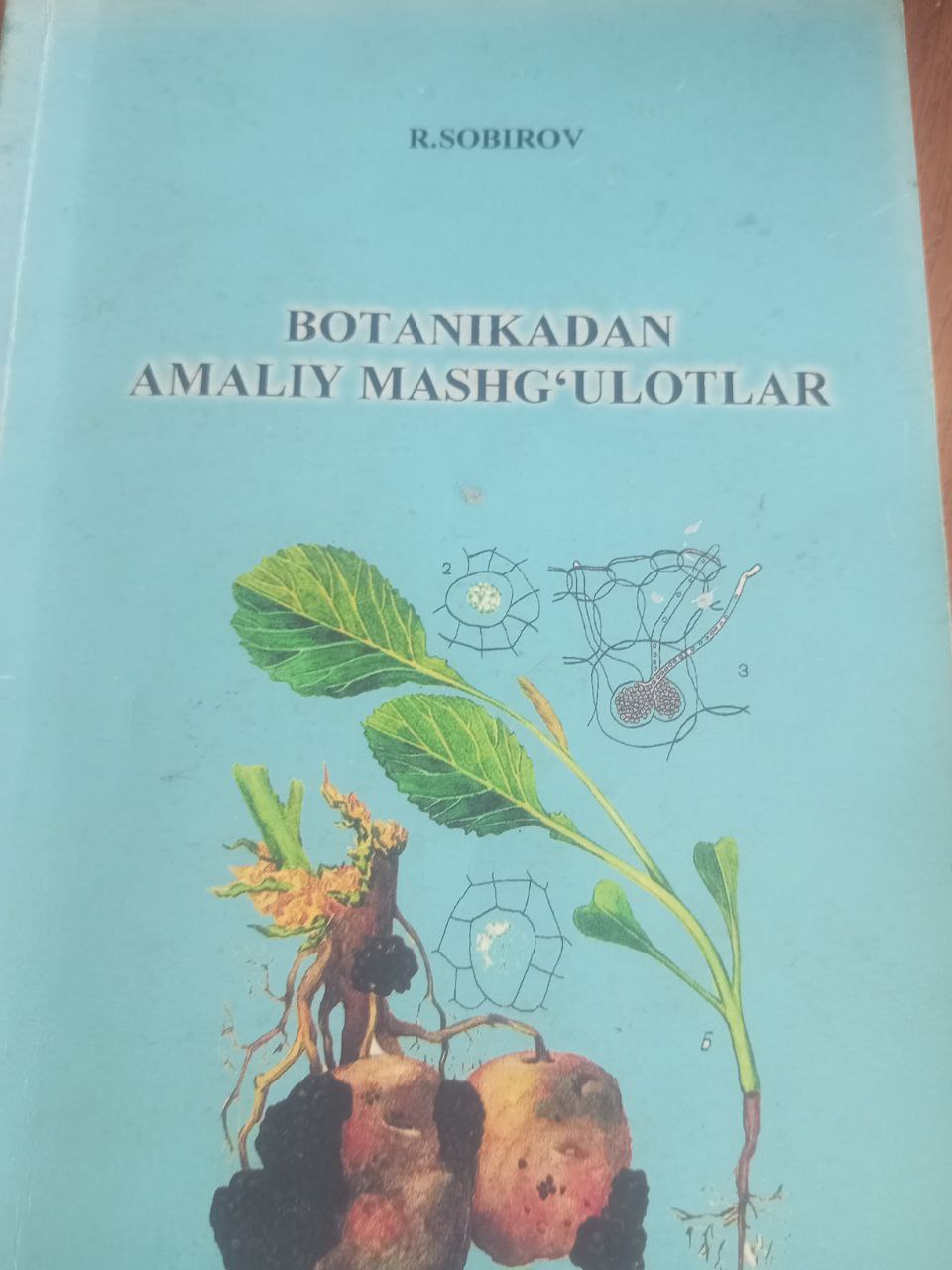 Botanikadan amaliy mashgulotlar