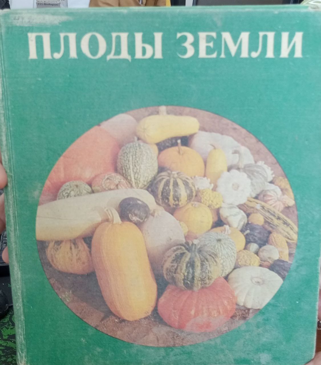 плоды  земли