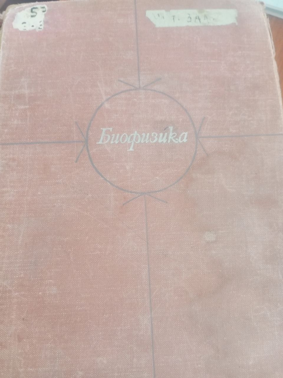Биофизика