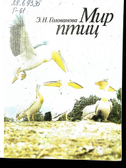 Мир птиц