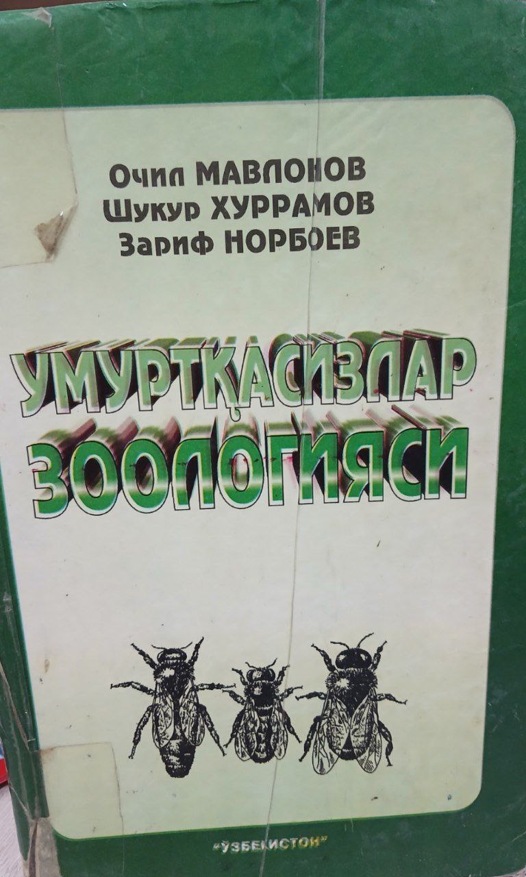 Умуртқасизлар зоологияси