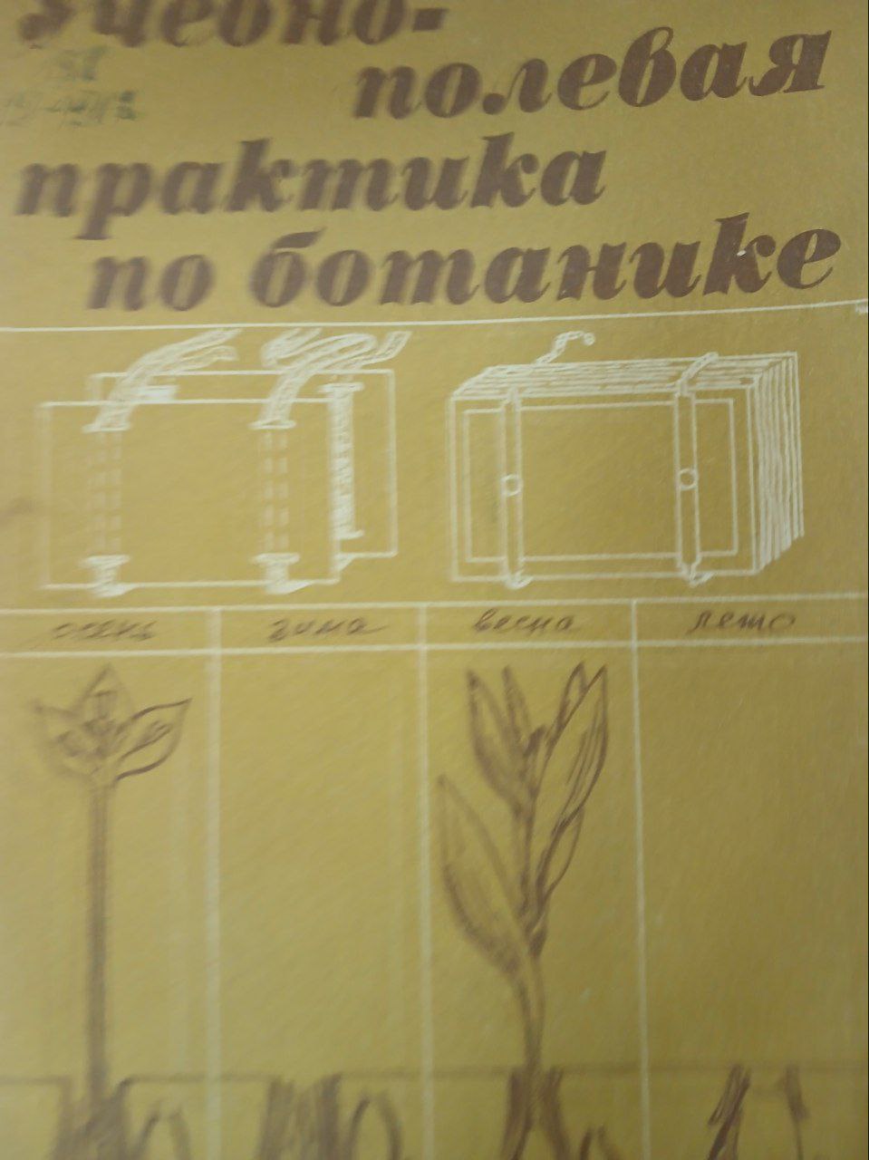 Учебно-полевой практикум по ботанике