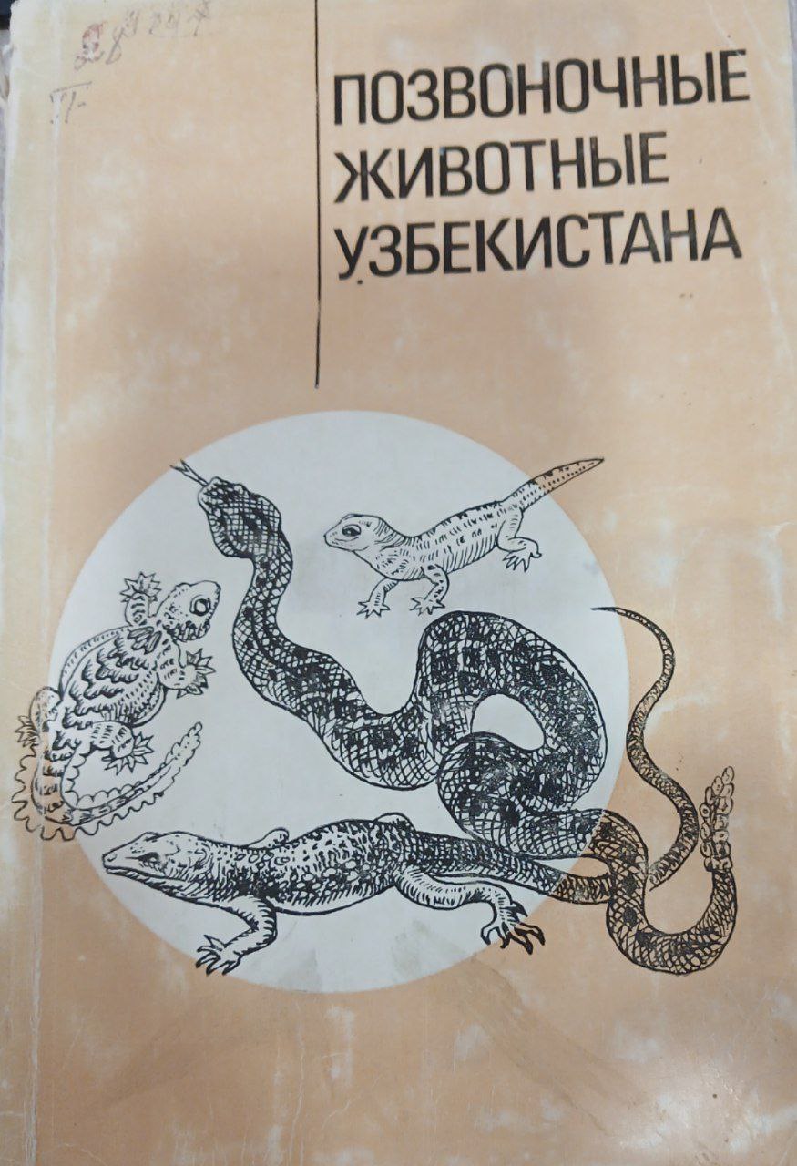Позвоночные животные Узбекистана