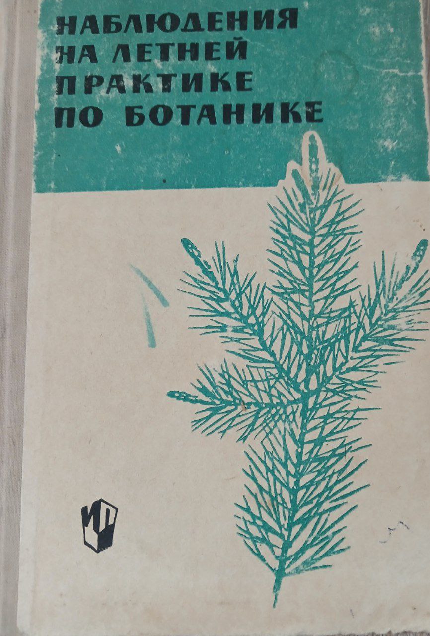 Наблюдения на летней практике по ботанике