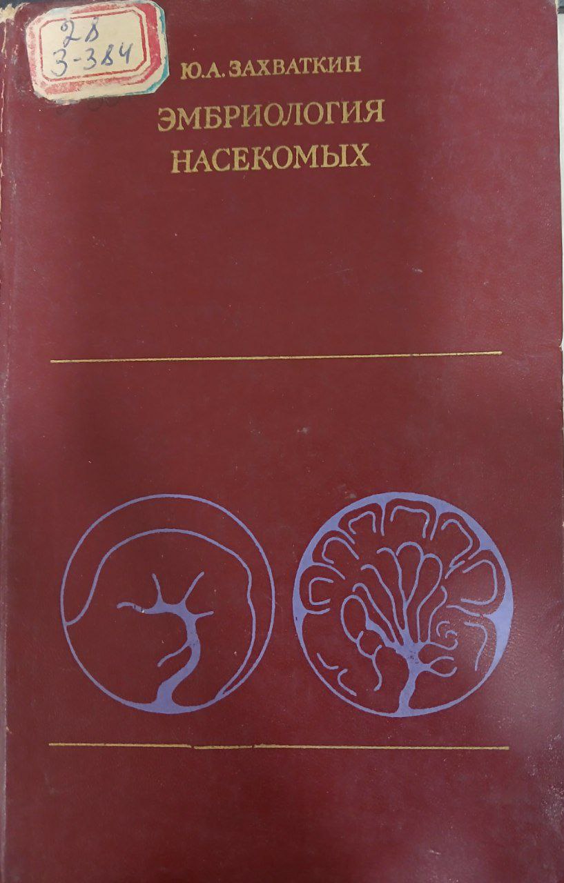 Эмбриология насекомыхЗ.384