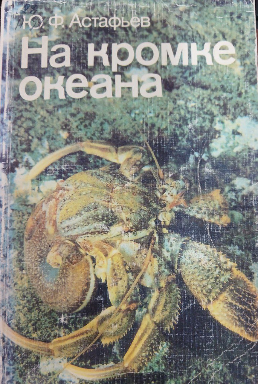 На кромке океана