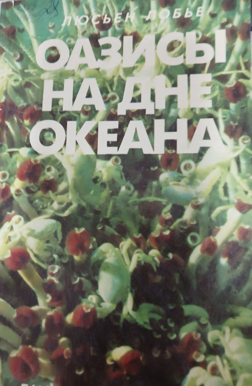 Оазисы на дне океана