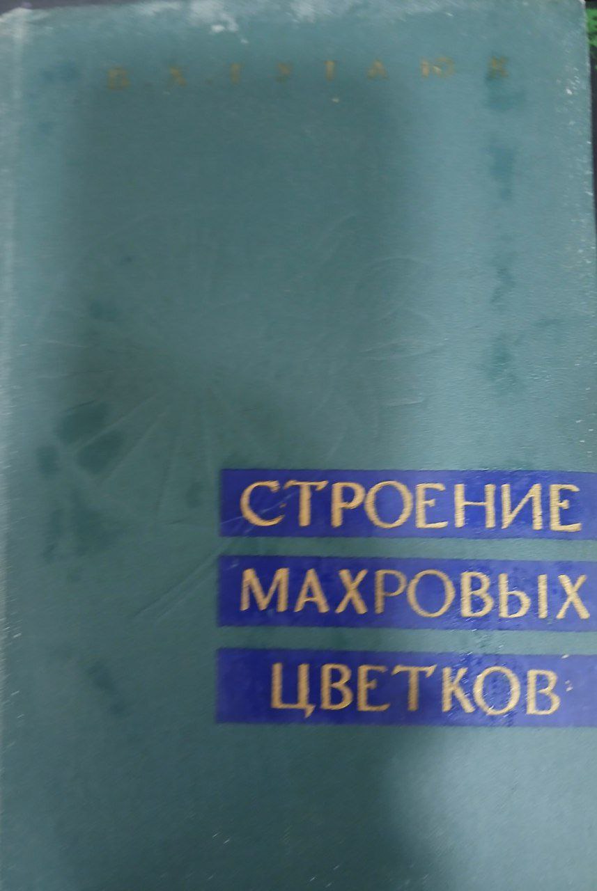 Строение махровых цветков