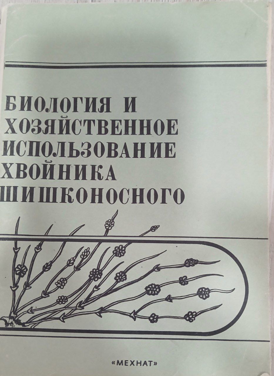 Биология и хозяйственное использование хвойника шишконосного