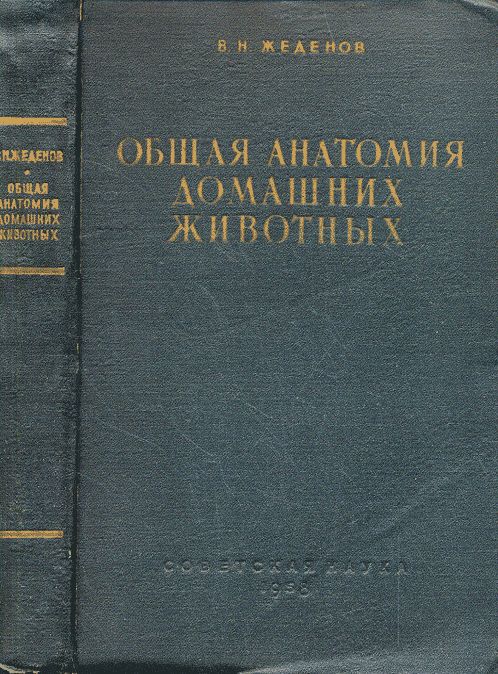 Общая анатомия домашних животных