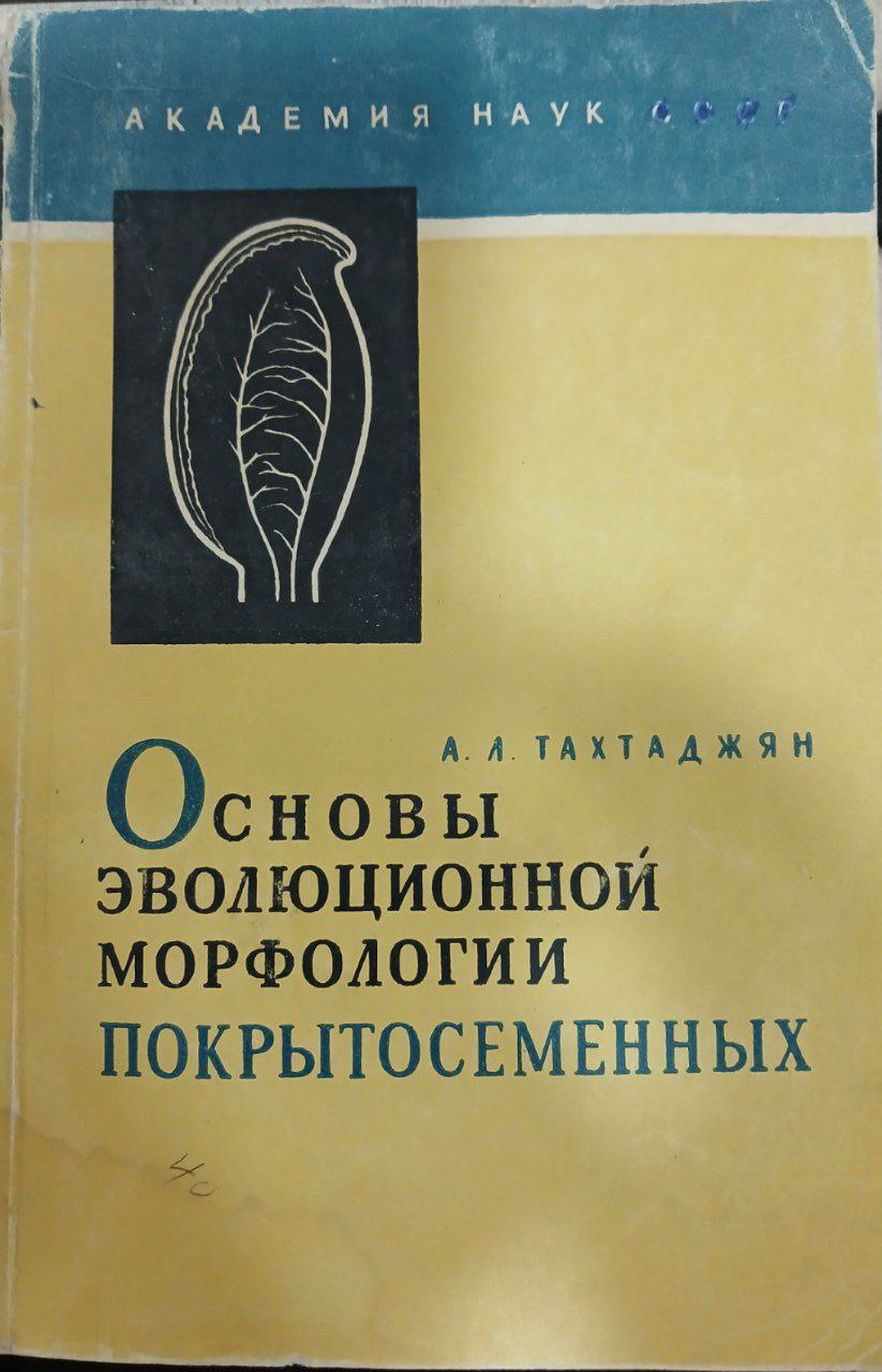 Основы эволюционной морфологии покрытосеменных