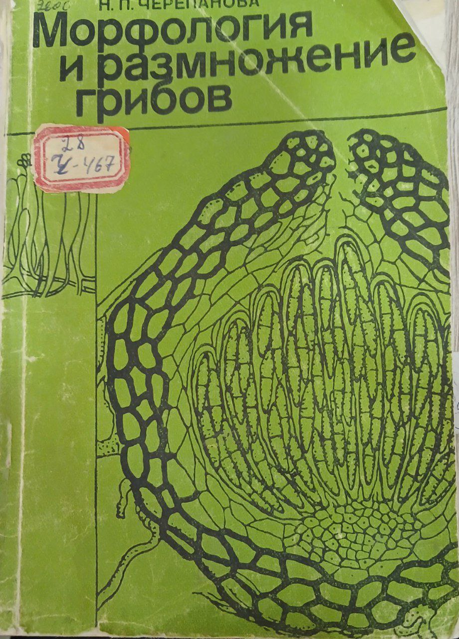 Морфология и размножение грибов