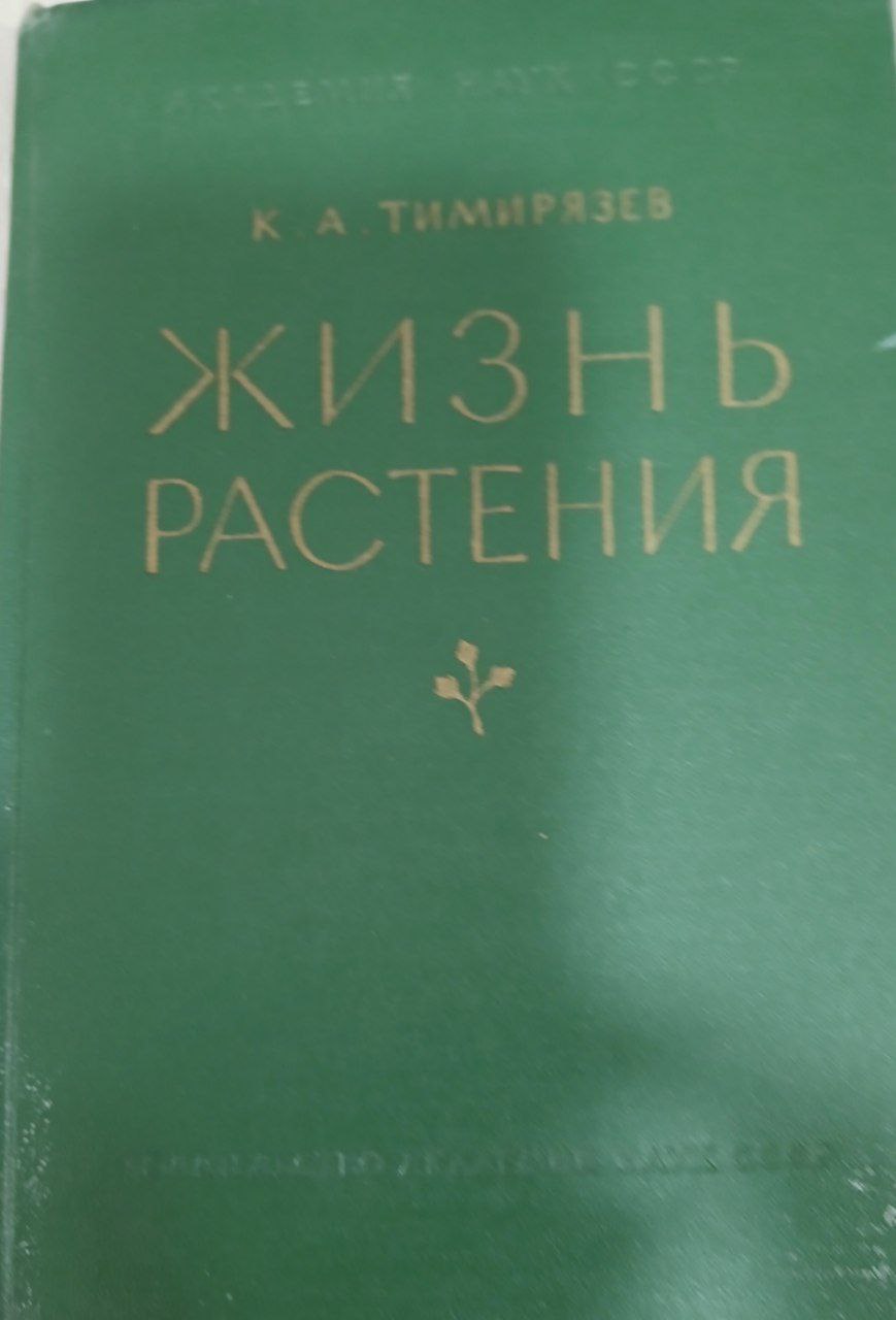 Жизнь растения