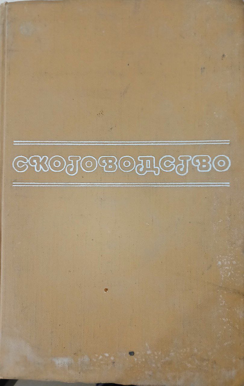 Скотоводство