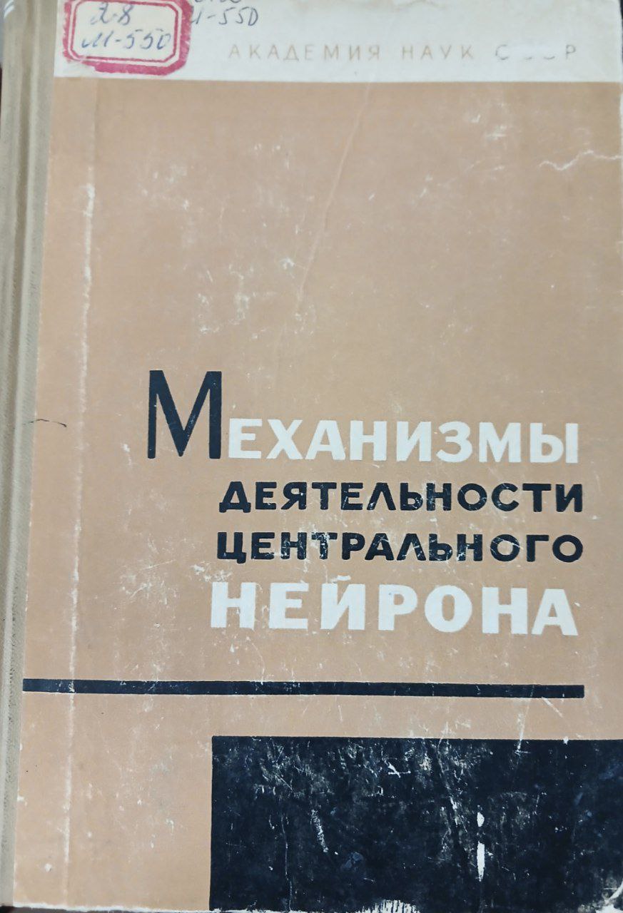 Механизмы деятельности  центрального нейрона