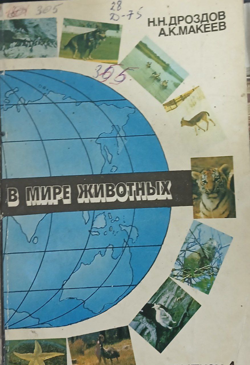 В мире животных