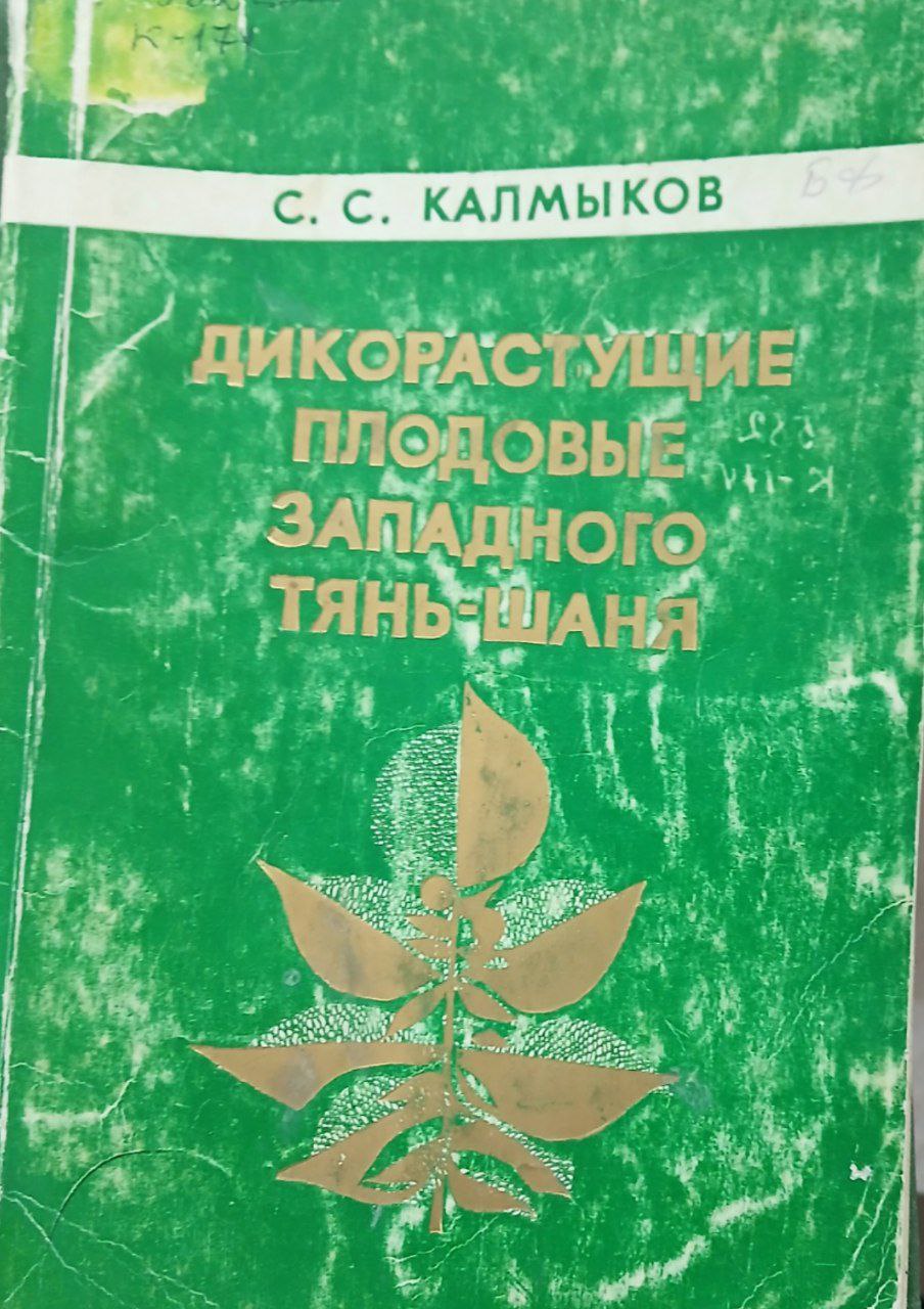 Дикорастущие плодовые Западного Тянь-Шаня
