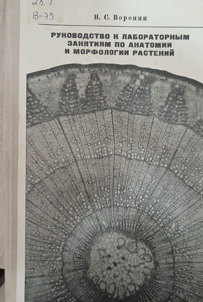 Руководство к лабораторным занятиям по анатомии и морфологии растений