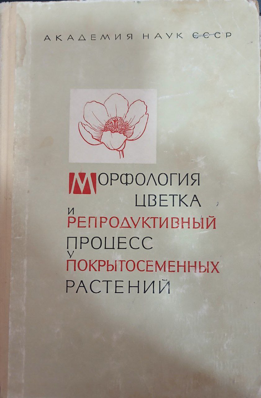 Морфология цветка и репродуктивный процесс у покрытосеменных растений