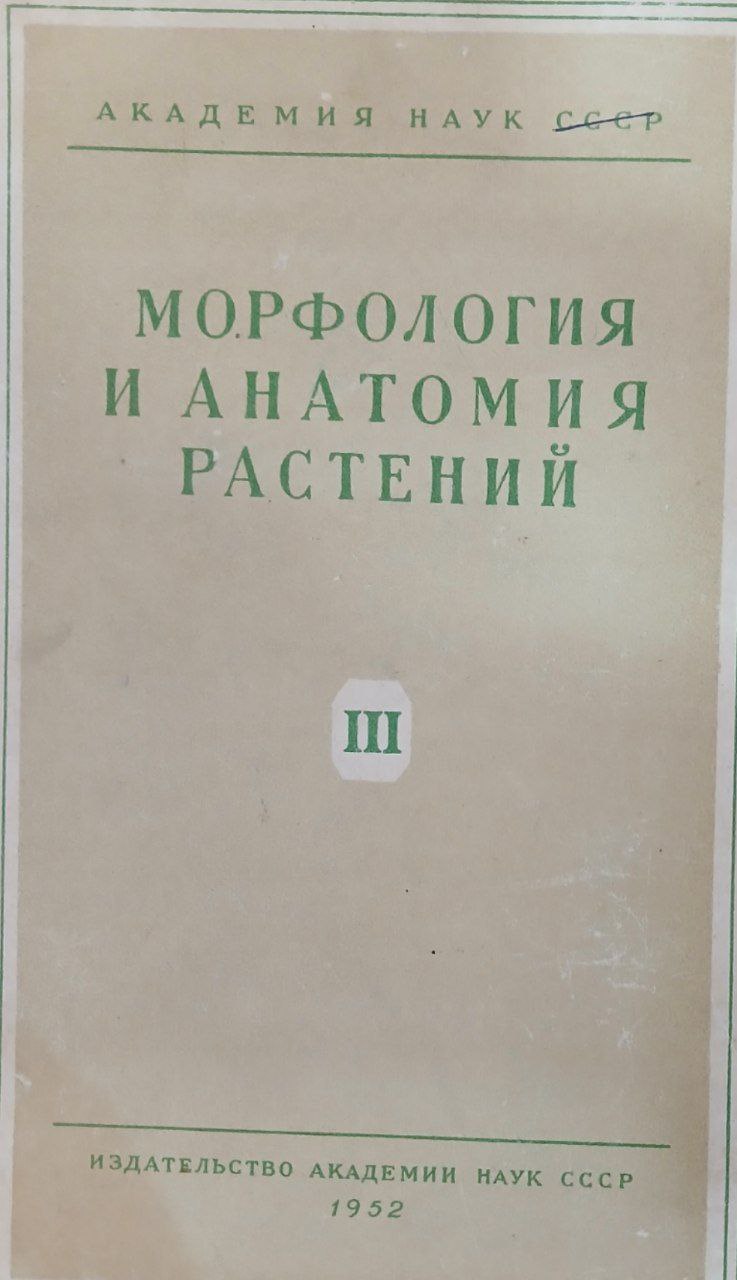 Морфология и анатомия растений