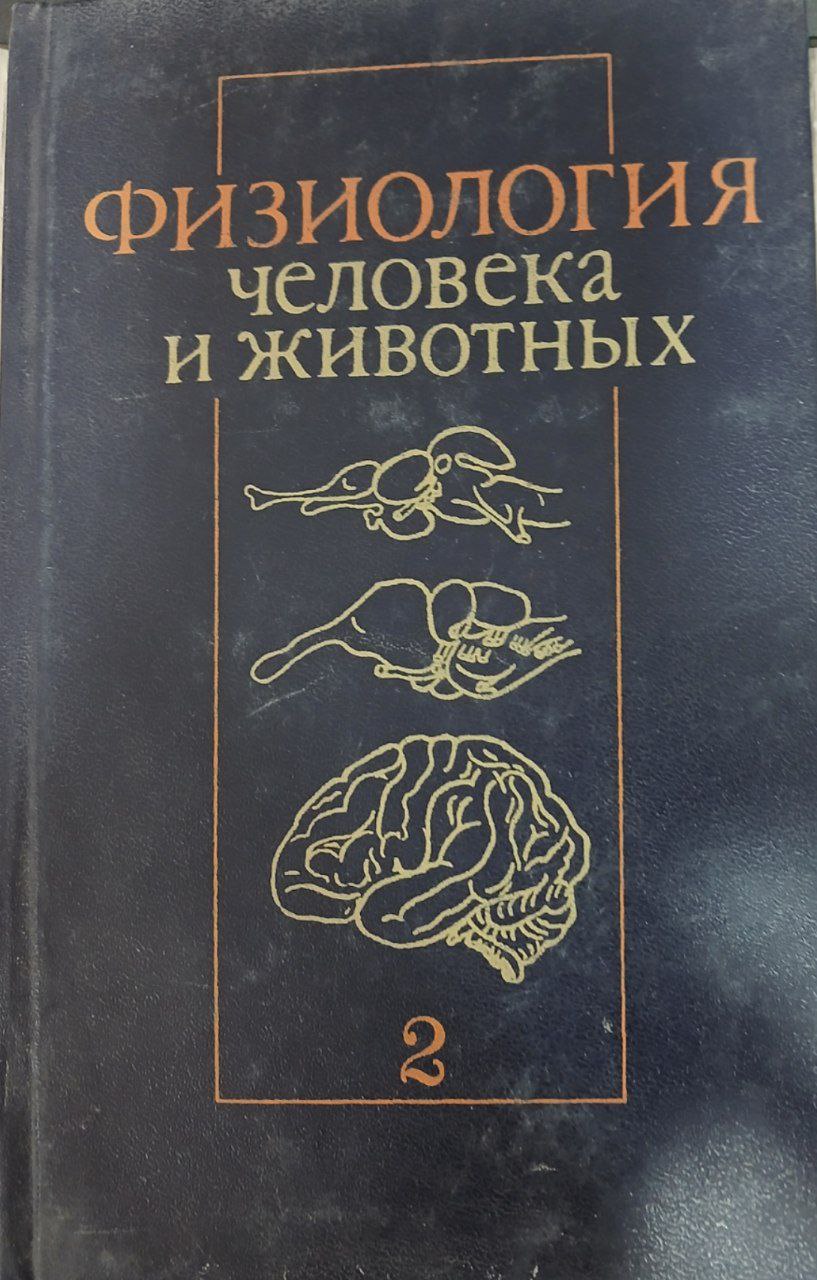 Физиология человека и животных