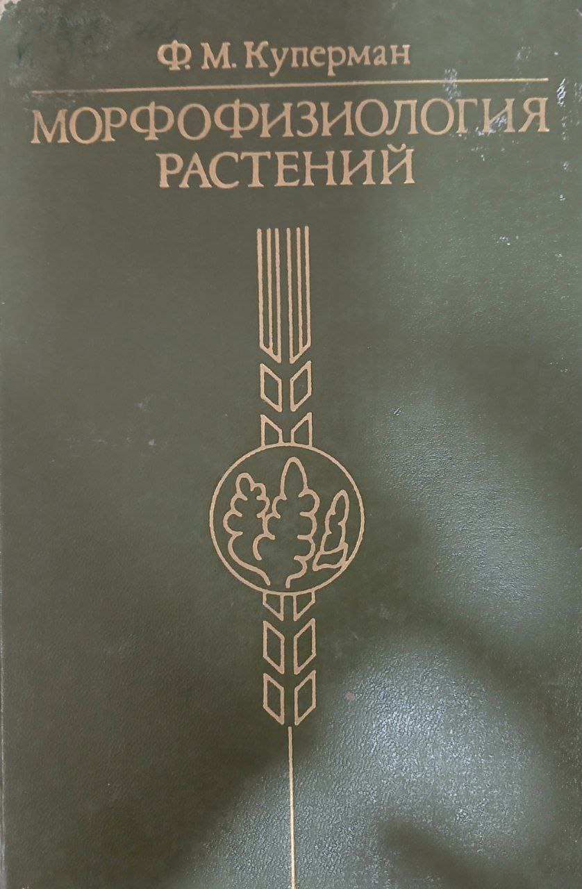 Морфофизиология растений