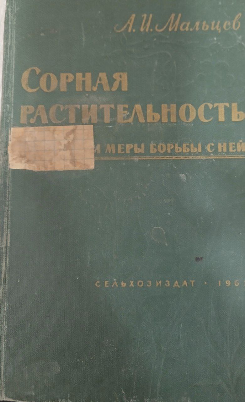 Сорная растительность