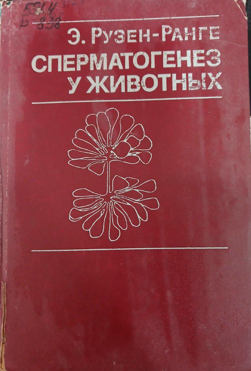 Сперматогенез у животных