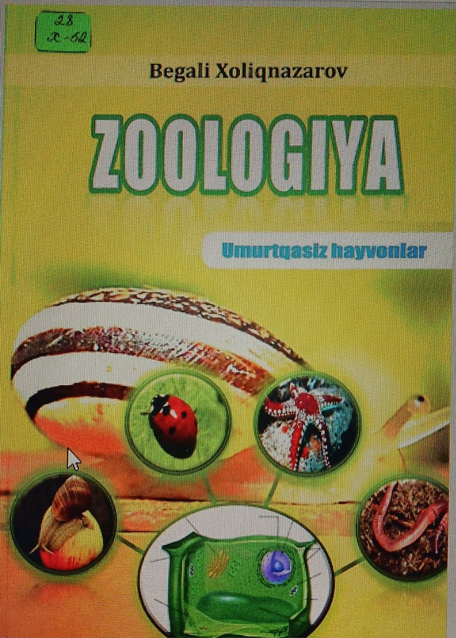 Zoologiya