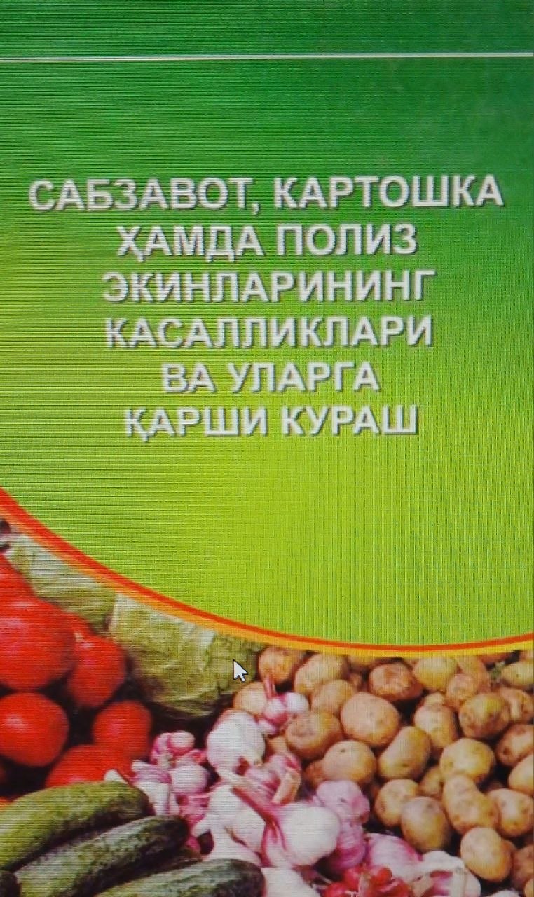 Сабзавот картошка ҳамда полиз экинларининг  касалликлари ва уларга қарши кураш