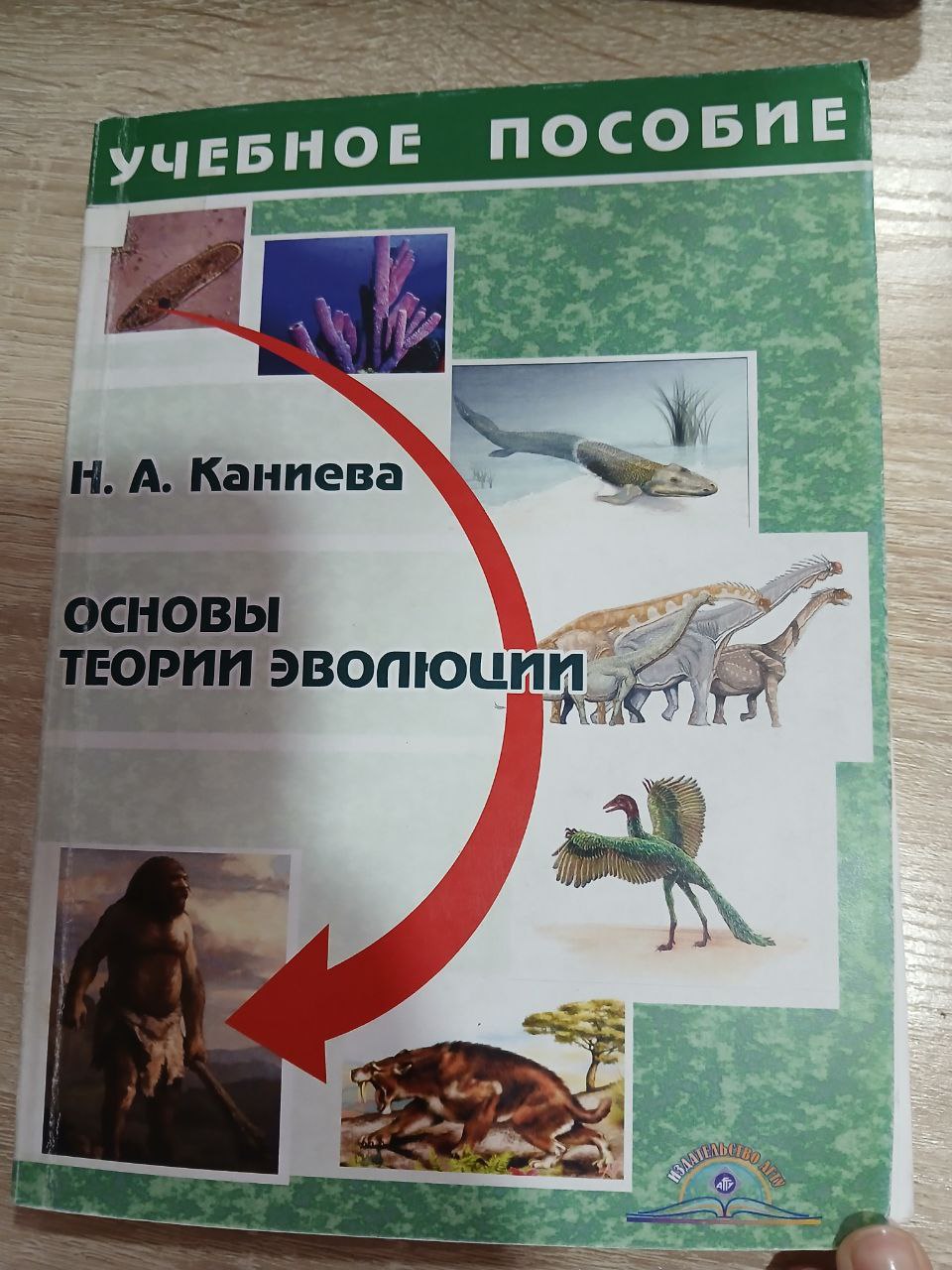Основы  Теории  Эволюции