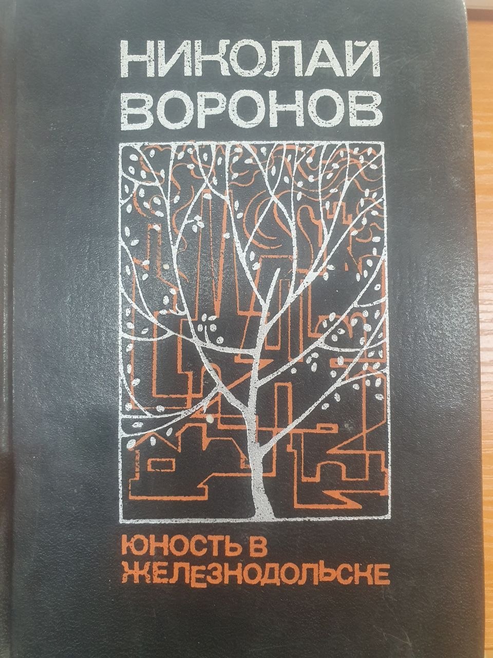 Юность в железнодольске