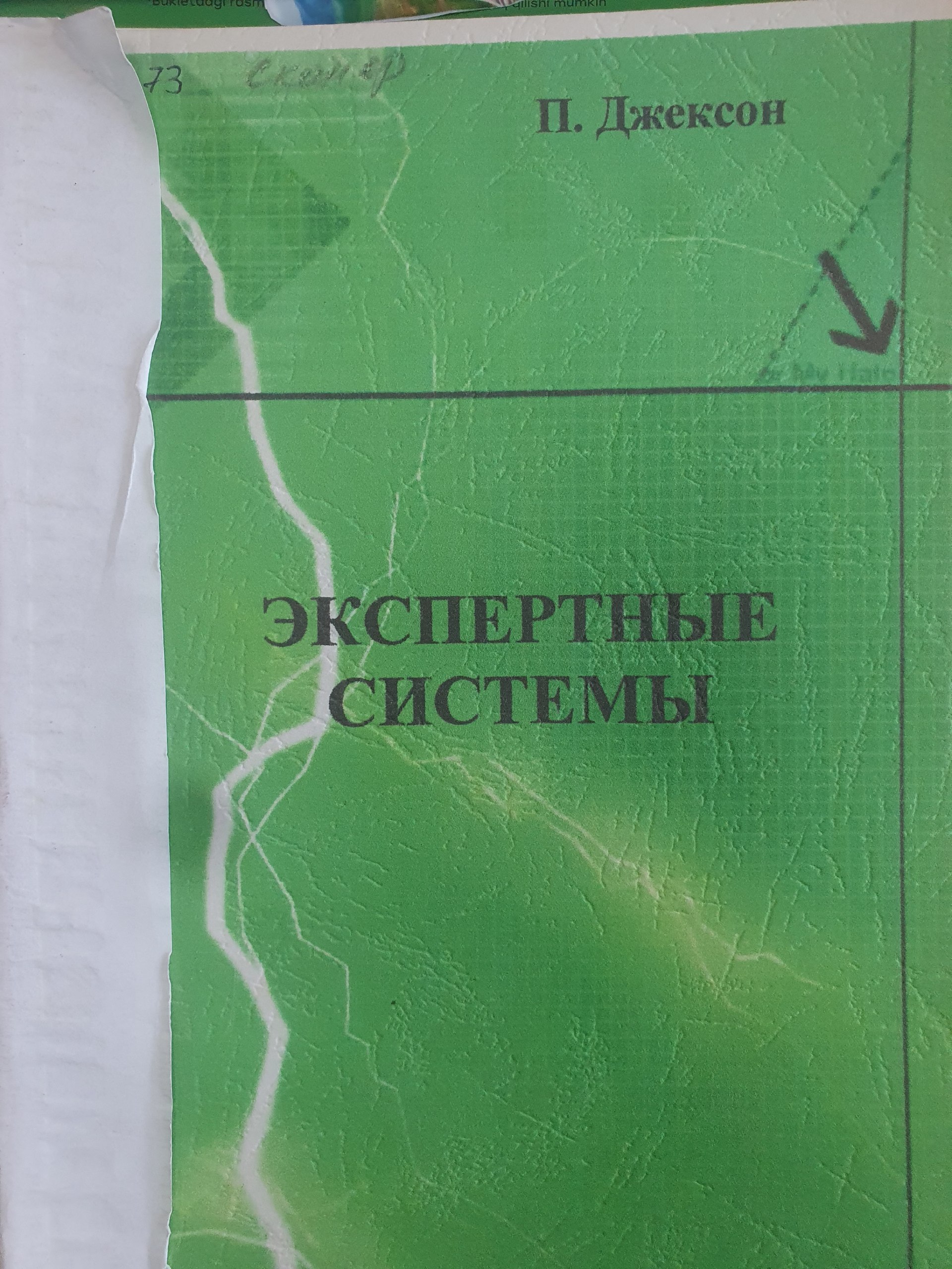 Экспертные системы